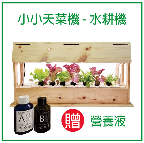 【OST036】佳能國際 小小天菜機 (贈營養液) 水耕蔬菜 水耕機 居家園藝