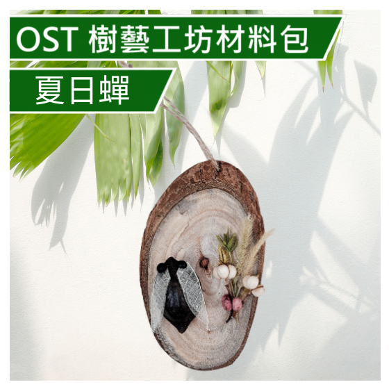 【OST094】樹藝工坊材料包 夏日蟬 動物造型 木工 樹藝 DIY材料包 動手做 自然科學